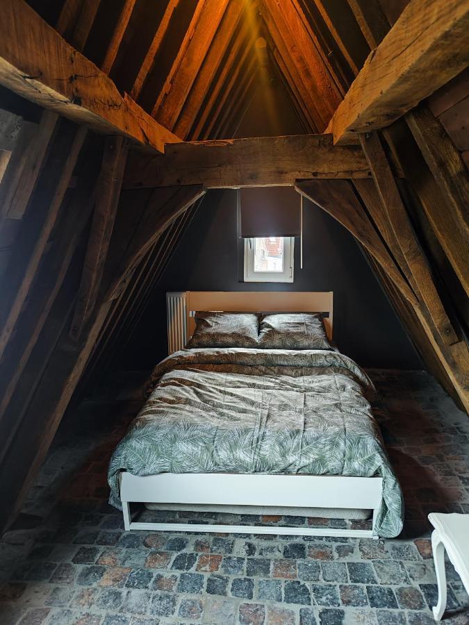 Rooftop Apartment With 60M Terrace Overlooking The Cathedral Antwerpen Kültér fotó